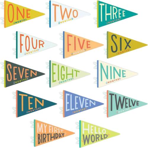 Little Kaleidoscope Petit Milestone Pennants – Maisonette