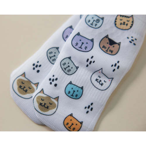Meow Collection