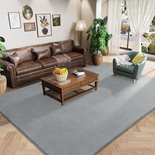Amearea Large Modern Area Rugs for Bedroom Living Room, 5x8 Feet White Thickened Memory Foam Rug, Fluffy Indoor Washable Rugs Non Slip Minimalist Carpet for Boys Girls Dorm Nursery Room Decor