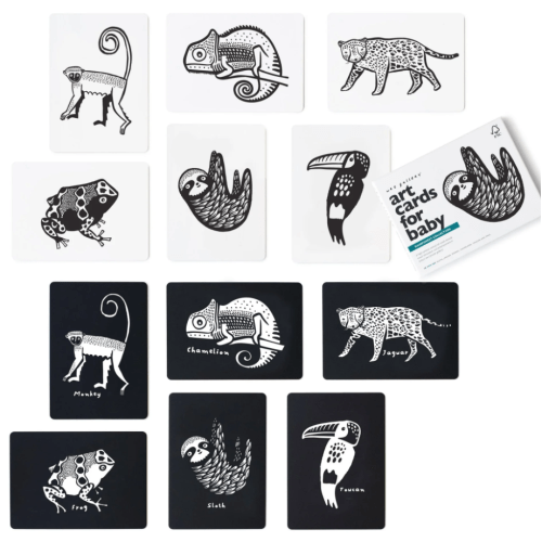 Art Cards for Baby - Rainforest Collection