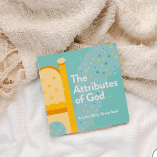 Attributes of God Kids Board Book – The Daily Grace Co.