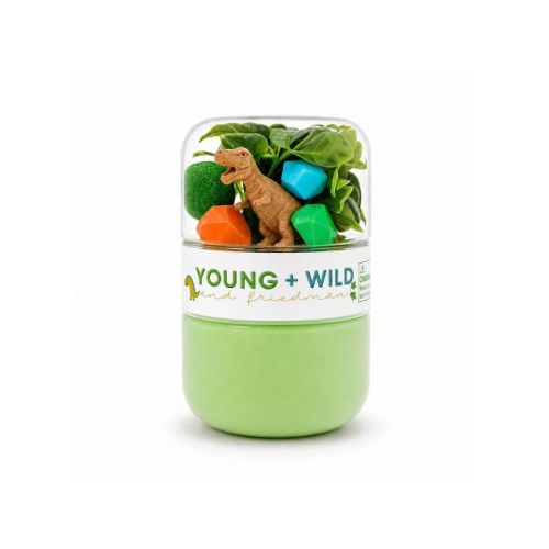 Young + Wild and Friedman Dino Sensory Sand Grab and Go Jar