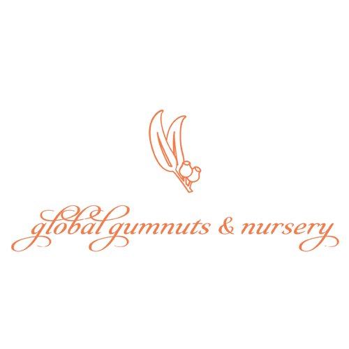 Jasmine Bell Rattle | Global Gumnuts and Nursery