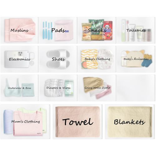 20 Pack Hospital Bag for Women Labor Delivery, Diaper Bag Organizing Pouches Maternity Hospital Essentials for Mommy Dad Newborn Baby First Time New Mom Must Haves