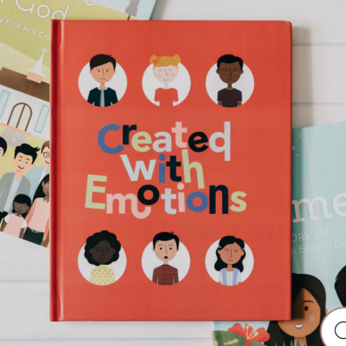 Created with Emotions Children's Book – The Daily Grace Co.