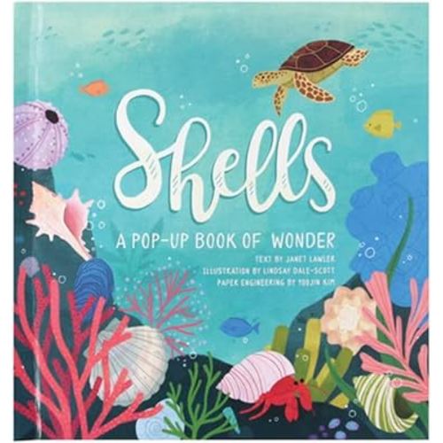 Shells: A Pop-Up Book of Wonder (4 Seasons of Pop-Up)