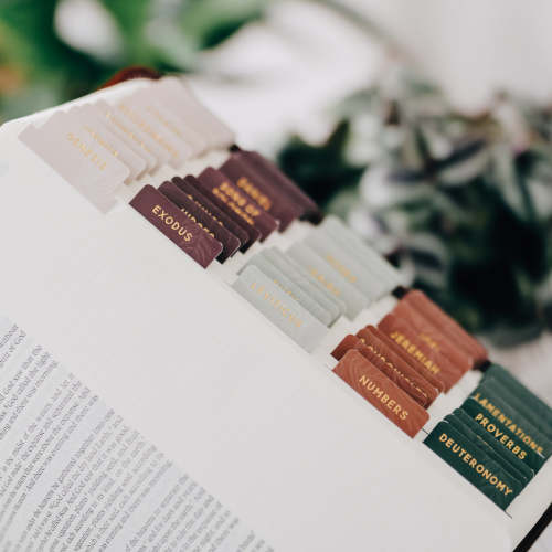 Jewel Tone Bible Tabs | TDGC – The Daily Grace Co.