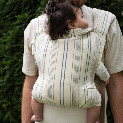 Lark Baby Carrier | Lugano | Short