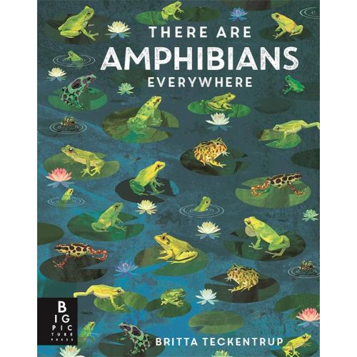 There Are Amphibians Everywhere