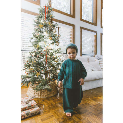 Rowan Set in Botanical Garden