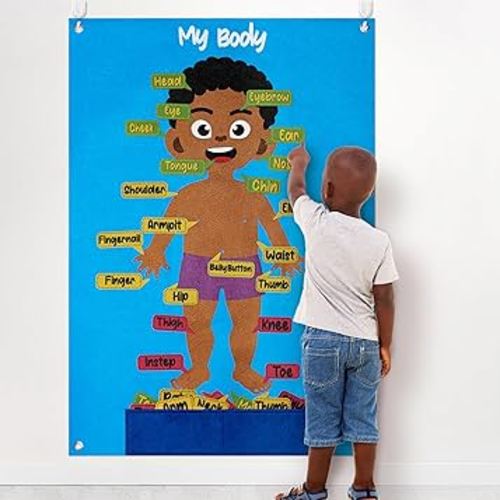 Brown Skin Color Body Parts Learning Felt Story Board Set, Human Organ Educational Kit,