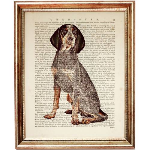 Bluetick Coonhound Dog Dictionary Art Print, Dog Nursery Wall Hanging, Dog Artwork, Animal Poster, Dog Portrait Wall Decor