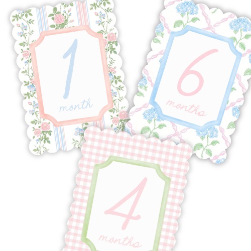 Baby Girl Pink Floral Milestone Cards, Monthly Baby Milestone Set, Baby Shower Gift, Milestone Markers, Coquette Nursery Newborn Photo Prop