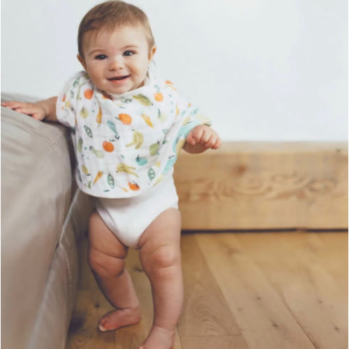 Farm to Table Burpy Bib | aden + anais