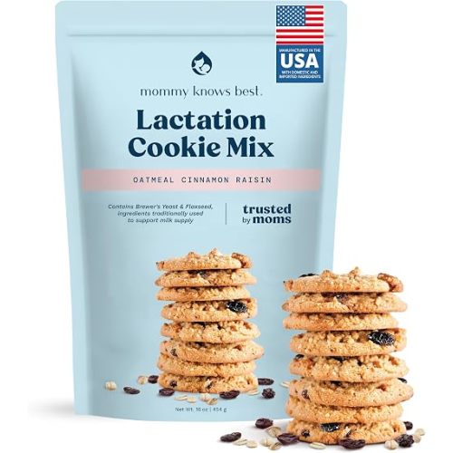 Lactation Cookies Mix - Oatmeal Breastfeeding Cookie Supplement Support for Breast Milk Supply Increase (Cinnamon Raisin, 1 Pound (Pack of 1))