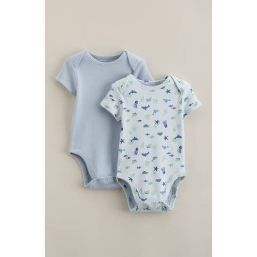 Assorted 2-Pack Bodysuits, Newborn