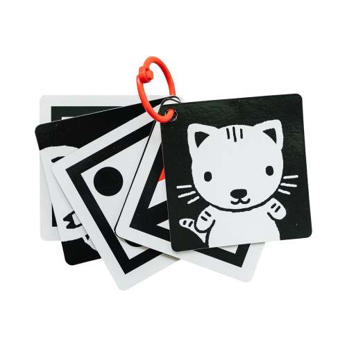 The Original, High Contrast (Black, White, Red) Flashcards for Baby – Genius Babies Toys