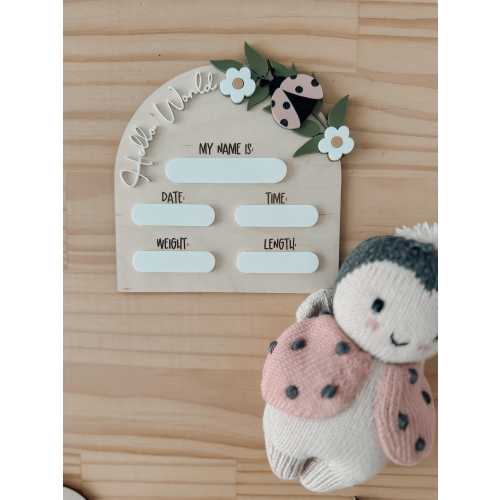 Lady Bug Baby Birth Stats | Lady Bug Baby Girl Sign | Lady Bug Baby Sign | Hospital Birth Stat Sign | Baby Shower Gifts | Gifts for baby