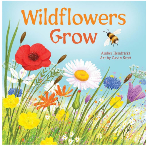 Wildflowers Grow (Little Nature Explorers)