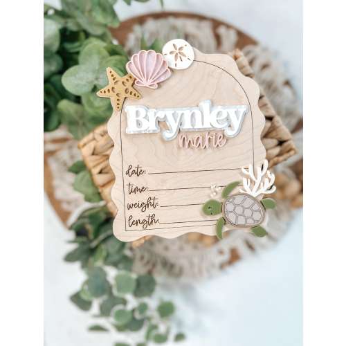 Seashell, Turtle, Mermaid, Shells, Birth Stats, New Baby Announcement, Baby Prop, Baby Girl, Fresh 48, Hospital, Hello World