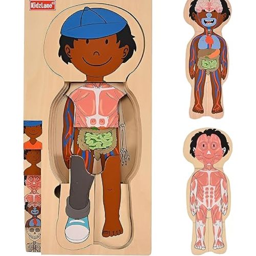 Kidzlane African American Boy Wooden My Body Puzzle for Toddlers and Kids - 29 Piece Girls Anatomy Puzzle Kid Play Set - Anatomy for Kids, Skeleton Toys for Kids Ages 3 Plus