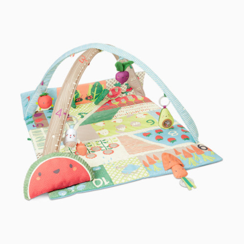 Skip Hop Farmstand Activity Gym