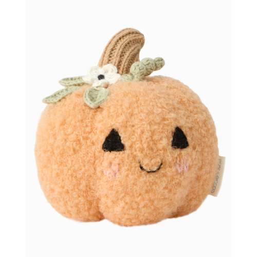 Baby pumpkin (moonflower)