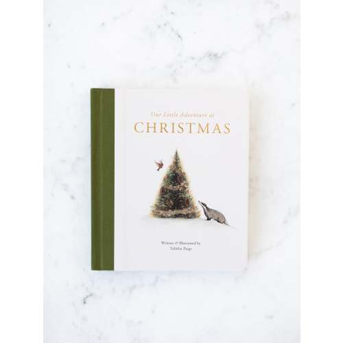 Our Little Adventure At Christmas Board Book