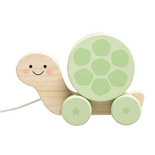Pearhead Wooden Turtle Push and Pull Toy, Montessori Baby Walker Toy | Shake And Rattle Shell, Pull-Along Car, Toddler Gross Motor Development, Ages 12M+