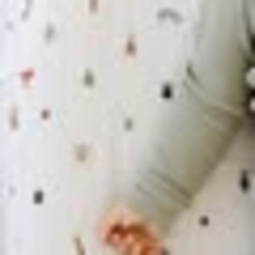 Cutie Crawlies Crib Sheet