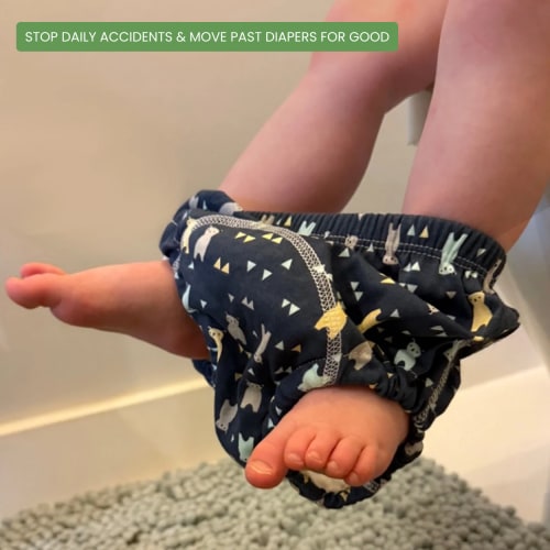 Potty Training Underwear
