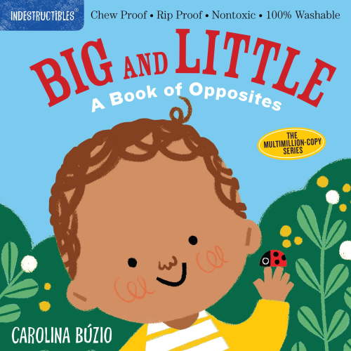 Indestructibles: Indestructibles: Big and Little: A Book of Opposites : Chew Proof  Rip Proof  Nontoxic  100% Washable (Book for Babies, Newborn Books, Safe to Chew) (Paperback)