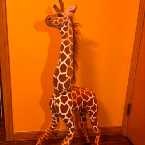 Big Stuffed Giraffe
$30