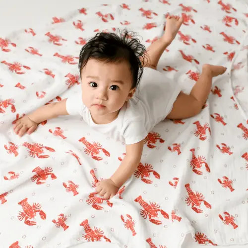 Heads & Tails Baby Muslin Swaddle: Soft Receiving Blanket – Little Hometown
