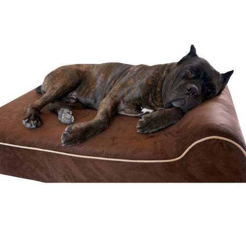 Extra Large Orthopedic Dog Beds | Big Dog Beds | Bully Beds