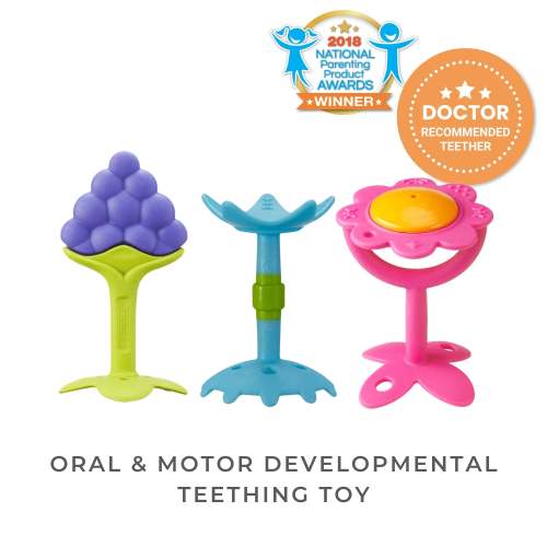 Oral & Motor Developmental Set
