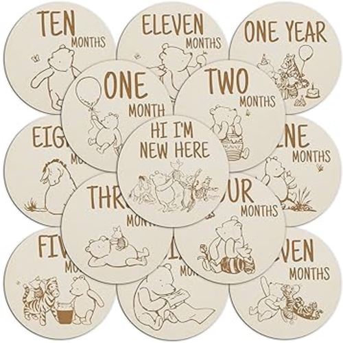 Winnie Baby Milestone Marker for The Pooh Baby Shower Classic Winnie Baby Monthly Announcement Sign Newborn Sign Photo Prop Baby Stuff