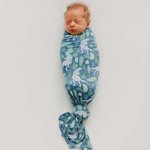Knit Swaddle Blanket - Jurassic Park
