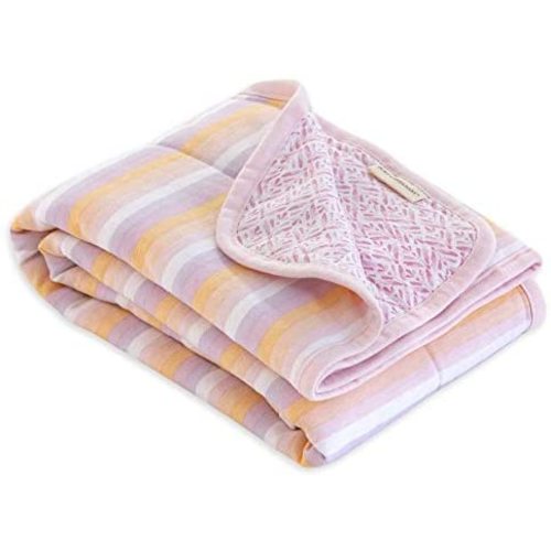 Burt's Bee Baby - Reversible Blanket, Nursery, Stroller & Tummy-Time Organic Jersey Cotton Quilted Infant & Toddler