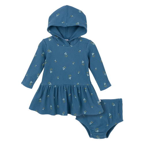 Gerber Baby Girl Hooded Dress and Diaper Cover Outfit Set, 2-Pice, Sizes 0/3 Months - 24 Months