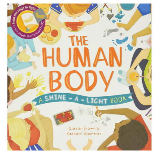 The Human Body (Shine-A-Light)