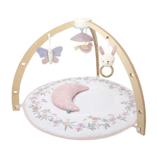 Aden + Anais Activity Gym | Rising Star & Ma Fleur | Premium Baby Play Gym