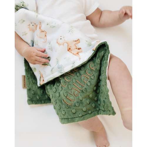 Dinosaur Baby Blanket With Embroidery Name For New baby Gift, Personalized Minky Blanket With Name, T rex Dino Baby Lovey, Dinosaur Nursery