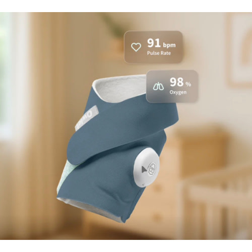 Dream Sock® – Owlet US