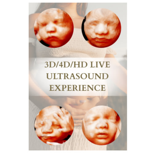 3D/4D/HD Live Ultrasound Experience with Nest Ultrasound Studio