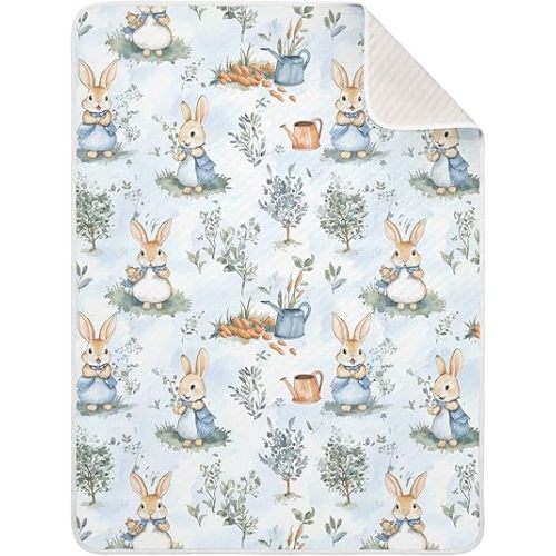 vvfelixl Baby Swaddle Blanket for Boys Girls Peter Bunny Friend Baby Blanket for Newborn Nursery Blanket for Crib Stroller 30x40 in