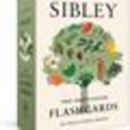 Clarkson Potter Sibley Tree Flash Cards