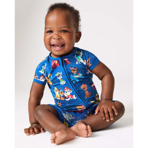 PAW Patrol Adventure Bay Heroes Shorty Zippy