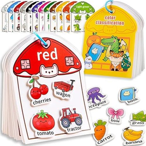 Montessori Busy Book Color Sorting Toys for Toddlers 3-5 Activity Books