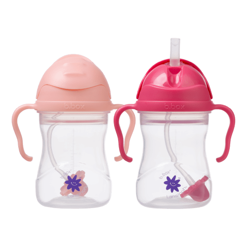 b.box + Lansinoh Sippy Cup twin pack